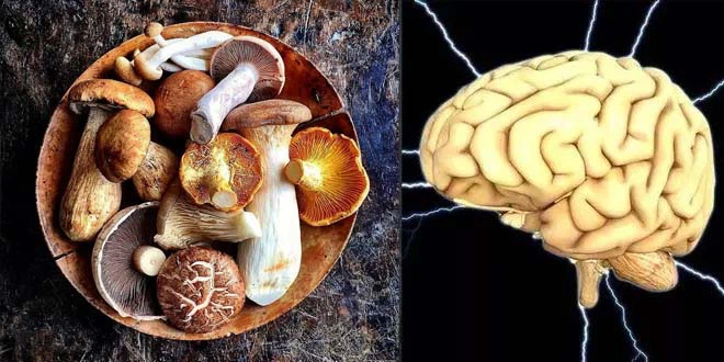 Ergothioneine-2 Ergothioneine-2
