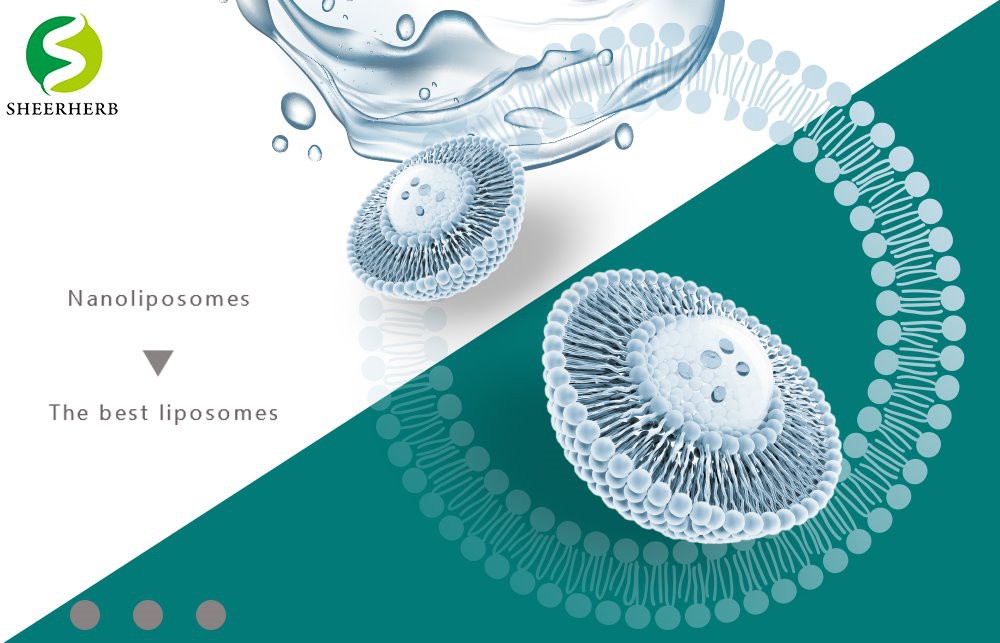 liposome banner