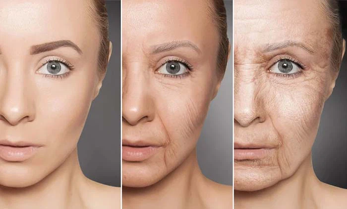 Blue Copper Peptide-2 Blue Copper Peptide-2