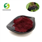 Черен бъз на прах