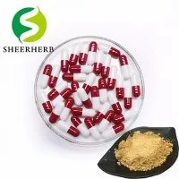 Екдистерон капсули