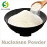 Nucleases Powder