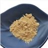 Oyster Mushroom Extract