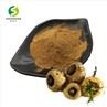 maca capsules