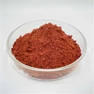 Най -добрата добавка на феритин